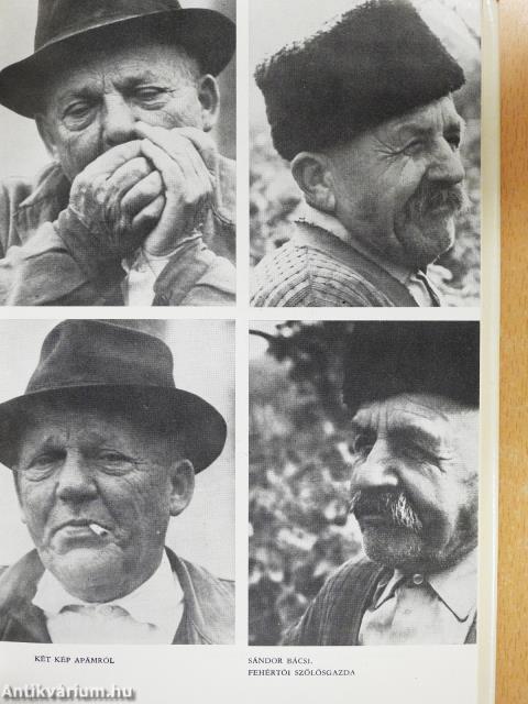 Erdőháton, Nyíren (dedikált példány)