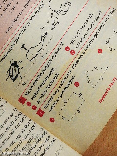 Matematika 4. - Gyakorló I.
