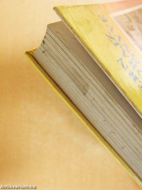 A modern társadalomföldrajz kézikönyve