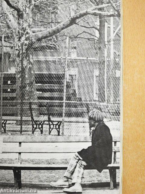 The Solitary Journey