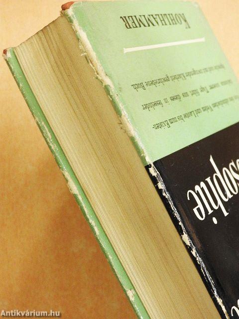 Kleine Weltgeschichte der Philosophie