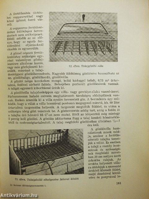 Zöldségtermesztés 1.