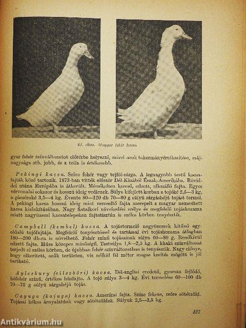 Állattenyésztési enciklopédia 3.