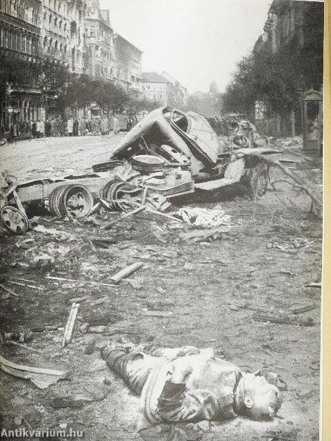 La Révolution Hongroise