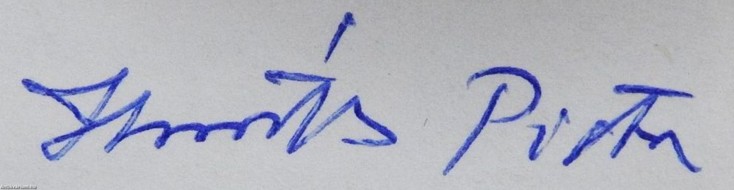 Vitéz János esztergomi palotája (dedikált példány)