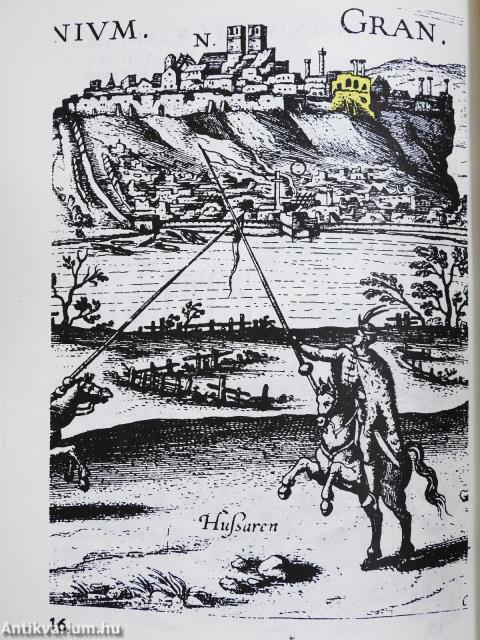 Vitéz János esztergomi palotája (dedikált példány)