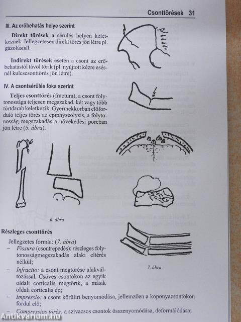 Traumatológia (dedikált példány)