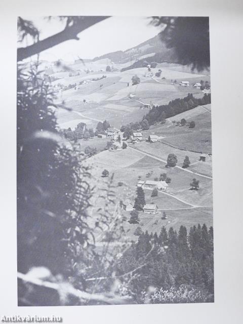 Hemberg 878-1978 (dedikált példány)