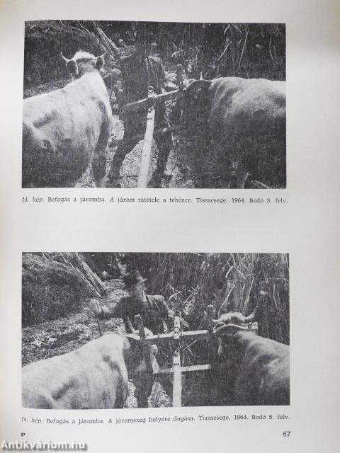 Tanulmányok a Hortobágy néprajzához (dedikált példány)