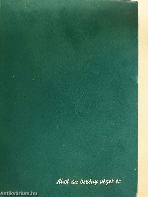 Ahol az ösvény véget ér