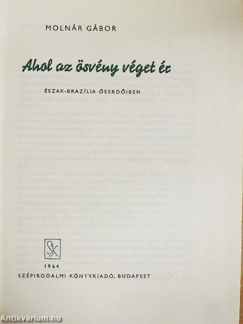 Ahol az ösvény véget ér