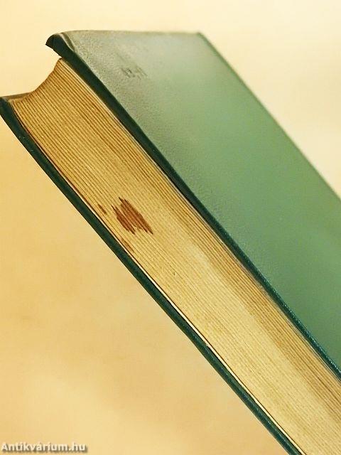 Ahol az ösvény véget ér