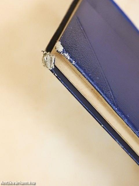 Művészet és dekoráció II.