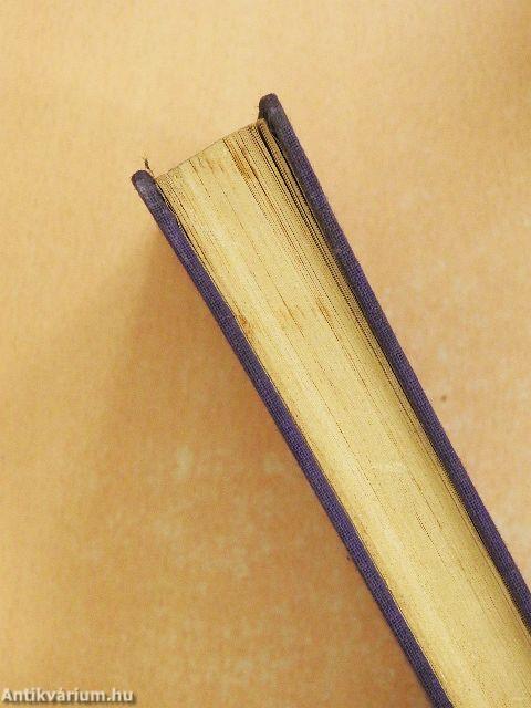 Professor Bernhardi (gótbetűs)