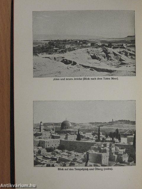 Die Bibel (gótbetűs)