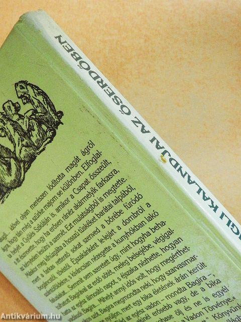 Maugli kalandjai az őserdőben