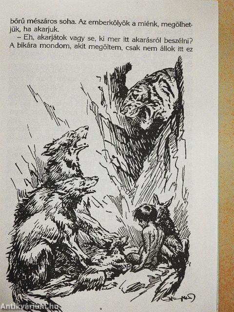 Maugli kalandjai az őserdőben