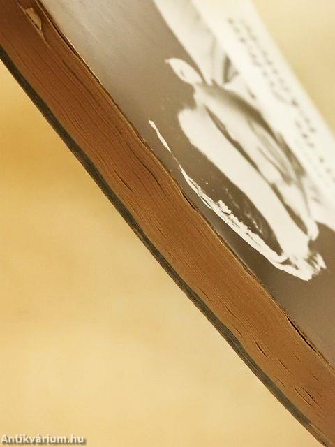 Latinovits Zoltán tekintete