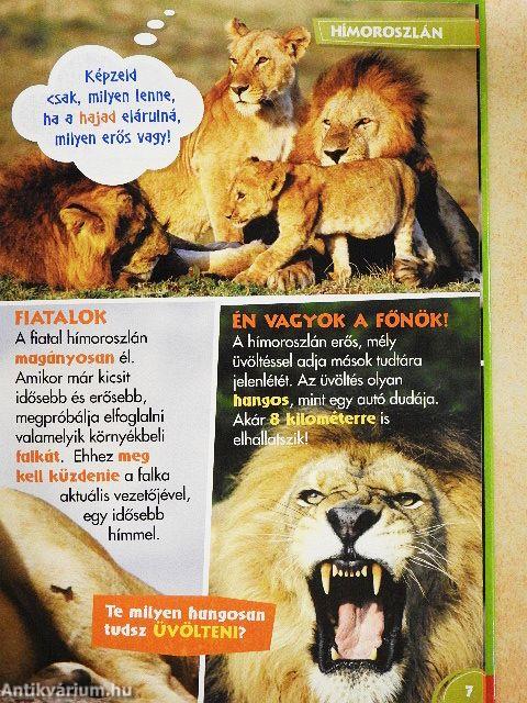 Disney Állati Szafari 12.