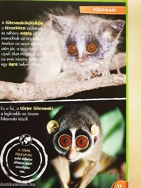 Disney Állati Szafari 12.