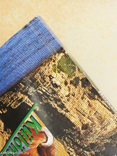 Háztűznézőben/A hegyi ember/Koktél jéggel