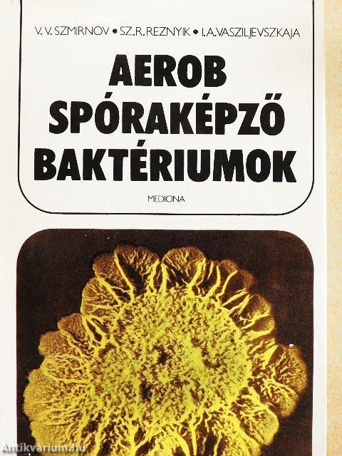 Aerob spóraképző baktériumok