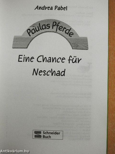 Eine Chance für Neschad