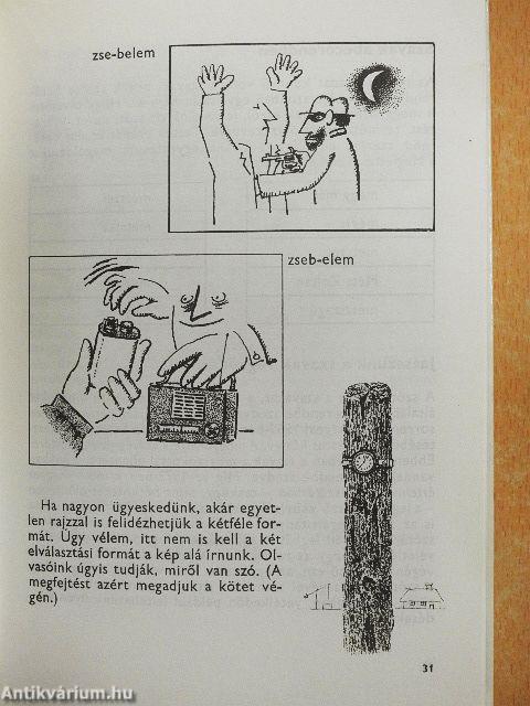 Anyanyelvünk játékai