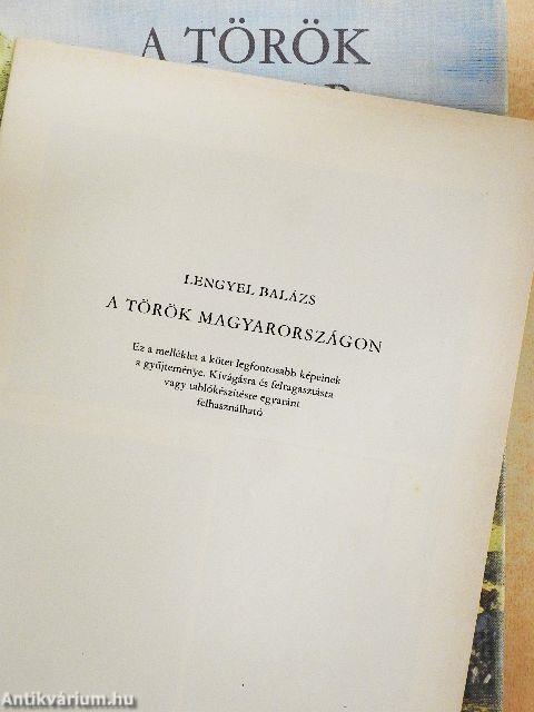 A török Magyarországon