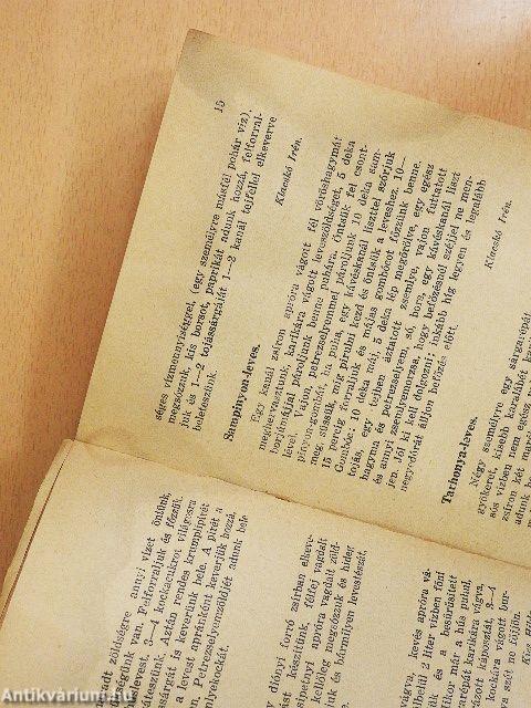 Az Uj Idők második receptkönyve (rossz állapotú)