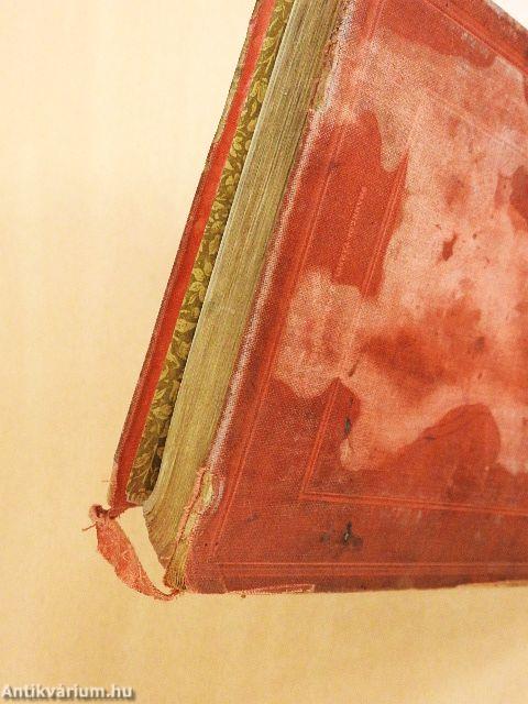 Servadac Hector (rossz állapotú)