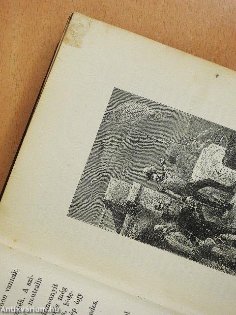 Servadac Hector (rossz állapotú)