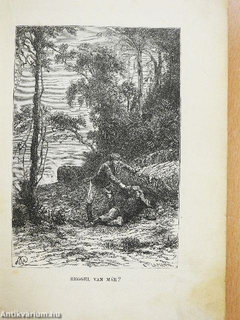 Servadac Hector (rossz állapotú)