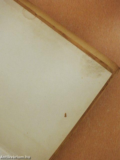 A magyar nemzet őszinte története (rossz állapotú)