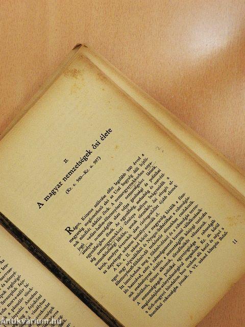 A magyar nemzet őszinte története (rossz állapotú)