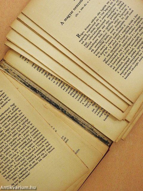 A magyar nemzet őszinte története (rossz állapotú)