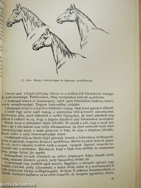 Lótenyésztés (rossz állapotú)