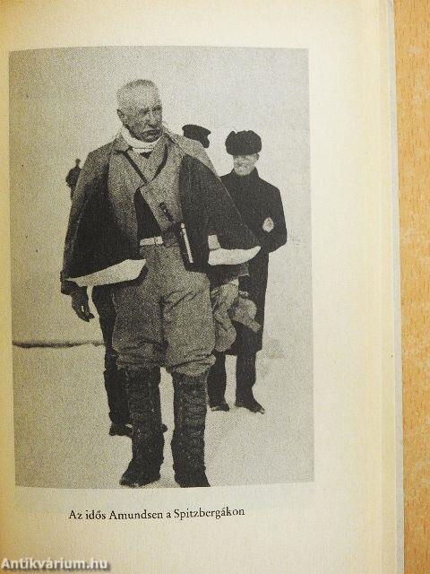 A Sarkvidék meghódítója