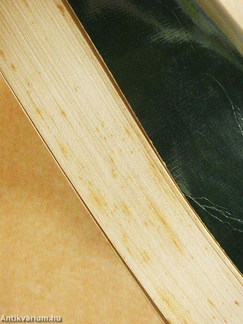 Szeretni tehozzád szegődtem