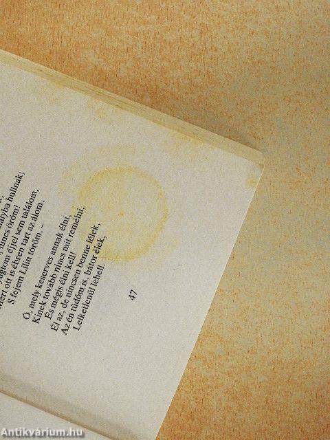 Szeretni tehozzád szegődtem