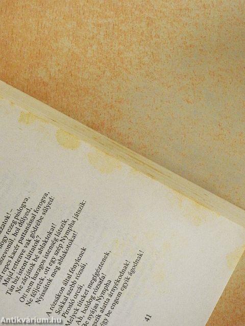 Szeretni tehozzád szegődtem