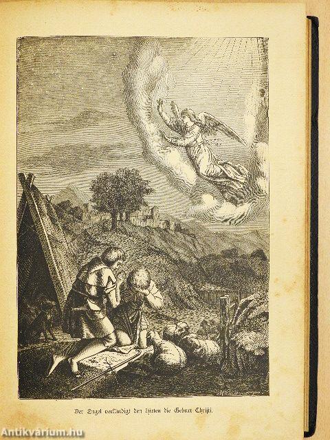 Dr. Martin Luther's Kirchen-Postille (gótbetűs)