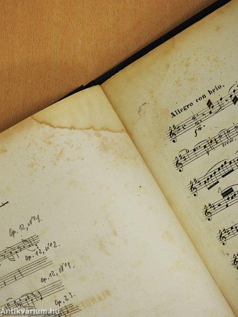 Sonaten für pianoforte und violine I-II.