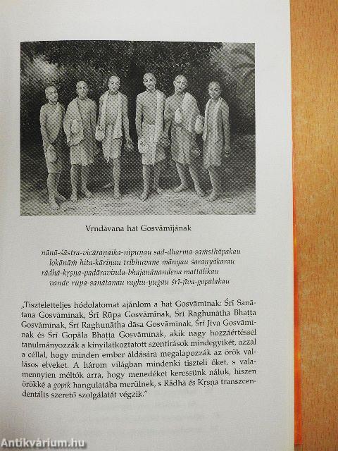 Az odaadás nektárja