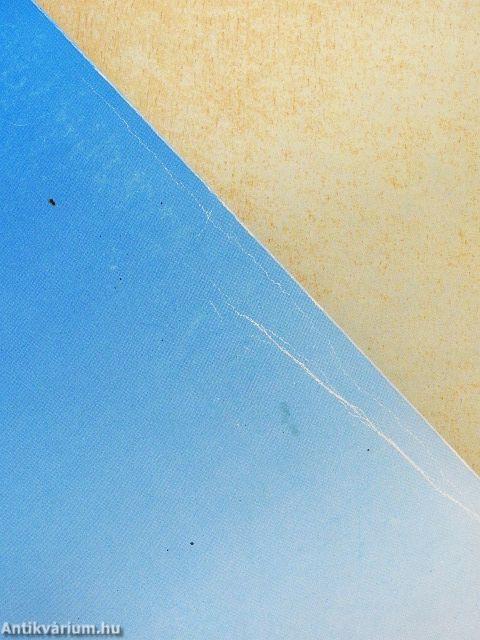 Két évtized a helyesírásért