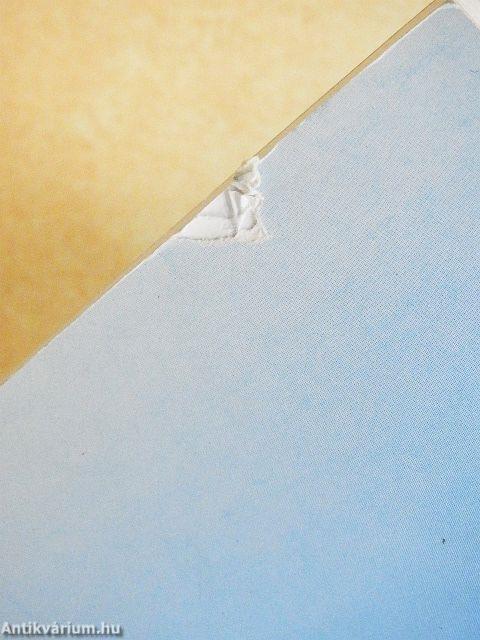 Két évtized a helyesírásért