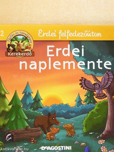 Erdei naplemente