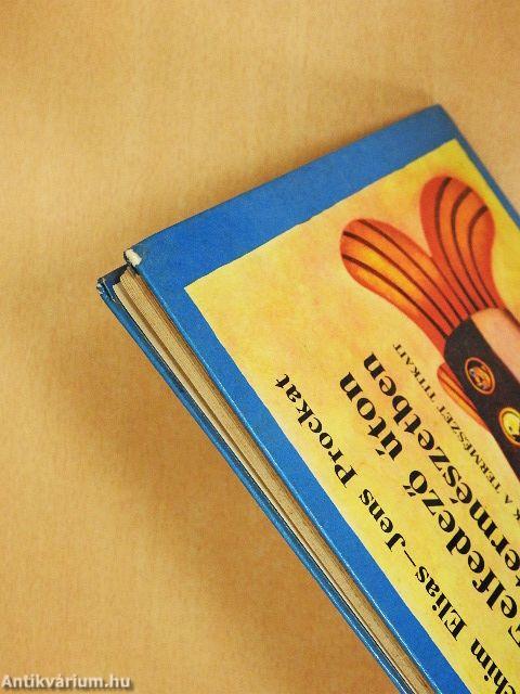 Felfedező úton a természetben