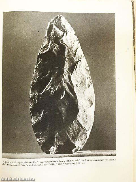 "Emlékezzünk régiekről..."