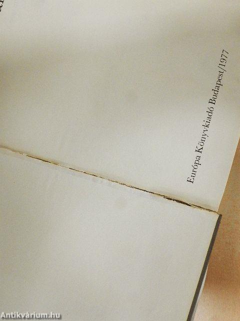 Az első világháború és a forradalmak képei 